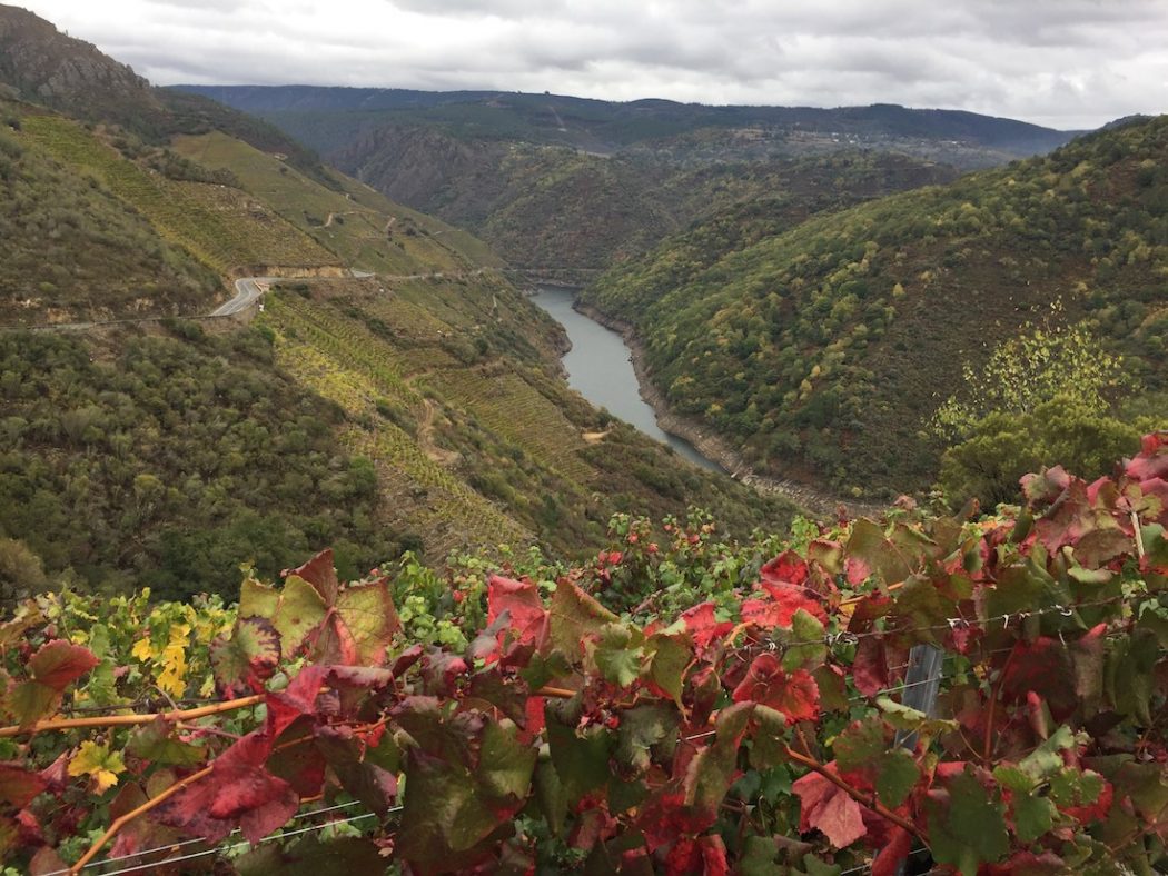 Dende a Ribeira Sacra incentívanse ideas fronte a Covid19